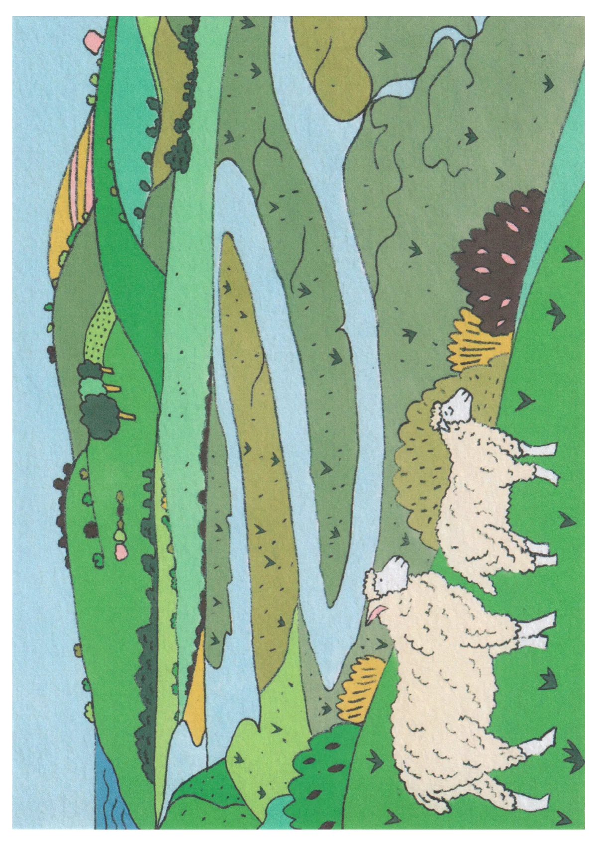 Front of postcard 12
