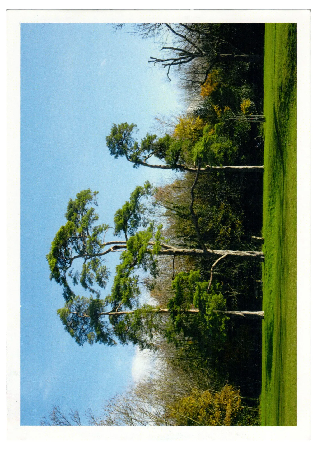 Front of postcard 20