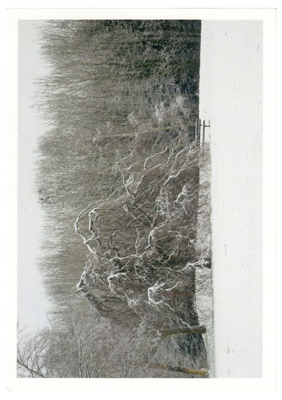Front of postcard 2